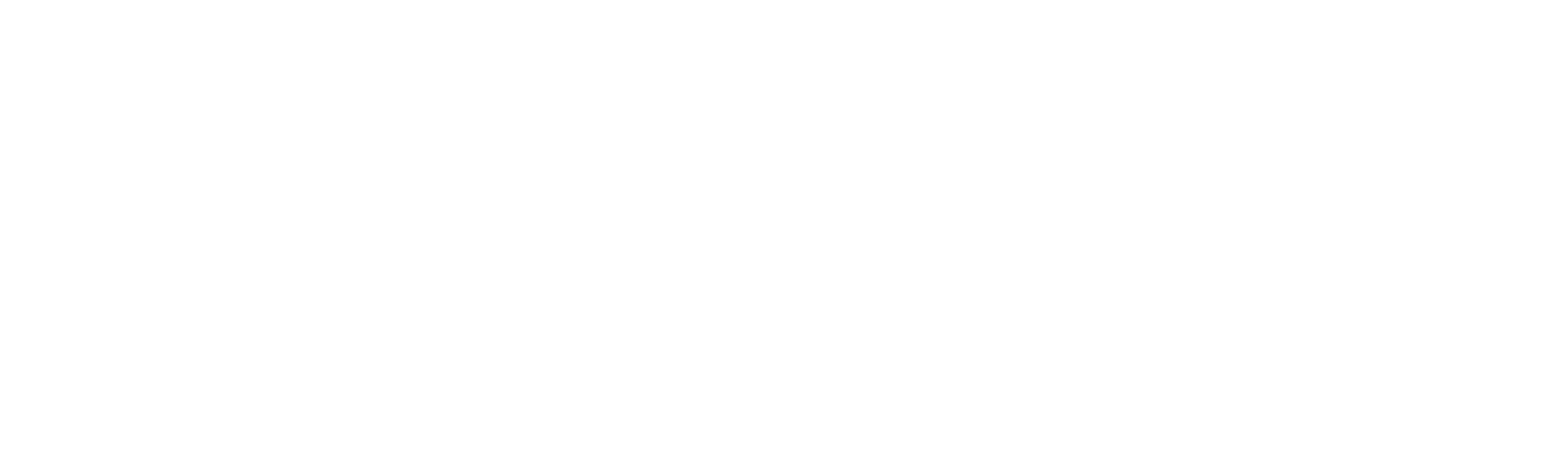 Netsch Team
